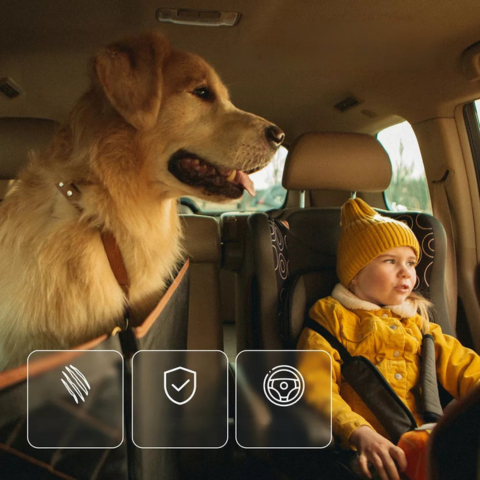 Housse De Siège Voiture Pour Chien — Confort & Sécurité Au Quotidien