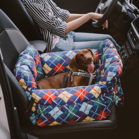 Tragbarer Hundekorb — Komfort Zu Hause und im Auto