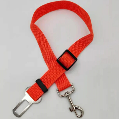 Sicherheitsgurt für Hunde – Reisen in aller Ruhe 