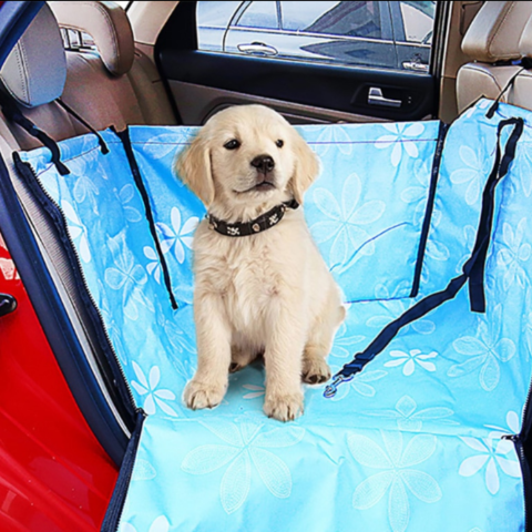 Car Seat Cover for Dog – Protection and Comfort on the Go 
