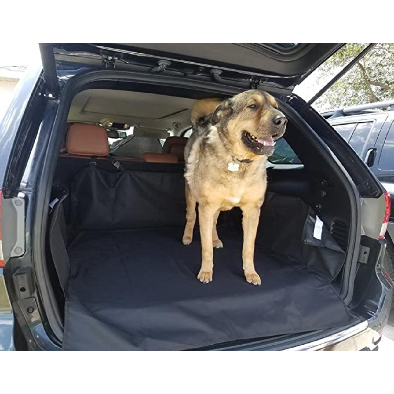 Protecteur De Coffre Pour Animaux — Protection Complète Et Durable