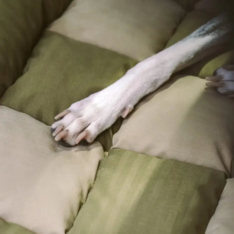 犬用後部座席 – 簡単な取り付けと安定性 