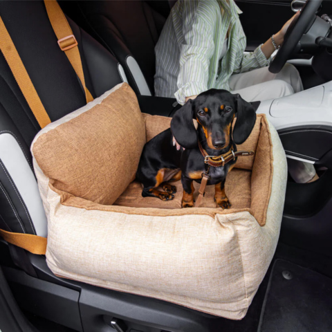 Bilsete for hund – Komfort og sikkerhet i bilen 