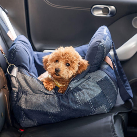 Tragbarer Hundekorb — Komfort Zu Hause und im Auto 
