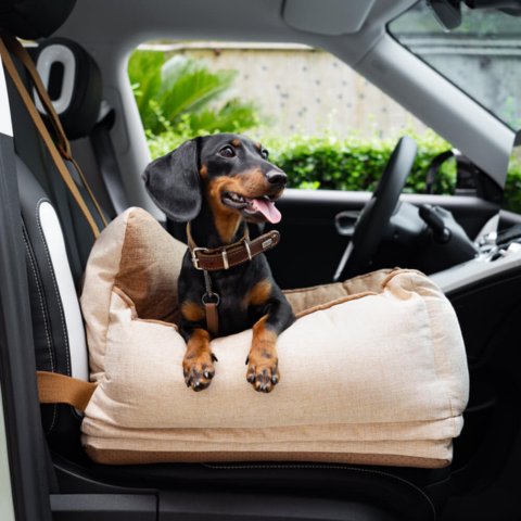 Bilsete for hund – Komfort og sikkerhet i bilen 