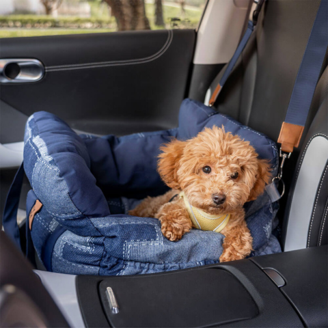 Tragbarer Hundekorb — Komfort Zu Hause und im Auto 