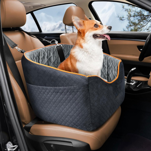 Bilsete for hund – Komfort og sikkerhet i bilen 